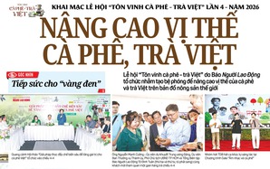 Báo in ngày 5-4: Trao cơ chế đặc biệt để TPHCM bứt phá