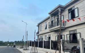 Cây xanh chết hàng loạt tại khu đô thị mới ở TP Huế: Chủ đầu ra "biện pháp mạnh"