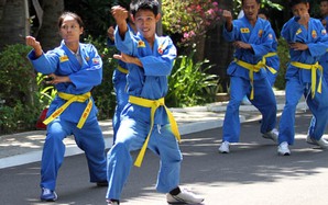 Vovinam lan tỏa khắp Đông Nam Á