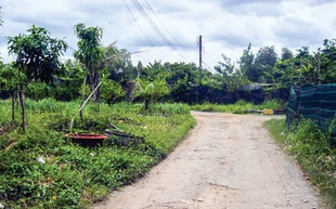 “Săn” đất... vướng quy hoạch