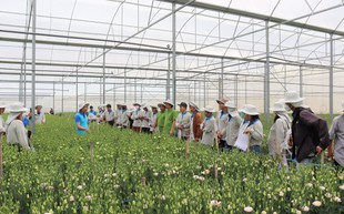 Yara Việt Nam hưởng ứng mạnh mẽ mục tiêu phát triển bền vững nông nghiệp Việt