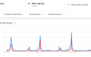 Tết Nhâm Dần 2022, người Việt tìm kiếm gì?