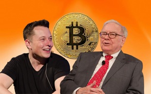 Elon Musk chế nhạo Warren Buffett về Bitcoin
