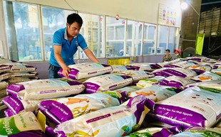 Xuất khẩu gạo tiếp tục sôi động