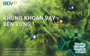 BID vào Top 20 cổ phiếu phát triển bền vững nhất Việt Nam lần thứ 2 liên tiếp