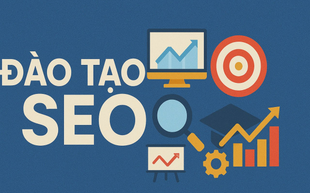 DanaSEO chuyên đào tạo SEO chuẩn và cập nhật xu hướng SEO mới
