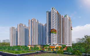 NOXH chất lượng cao từ hình mẫu Singapore