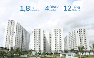 Một tập đoàn của Nhật Bản muốn xây hàng chục ngàn căn nhà giá rẻ tại Việt Nam