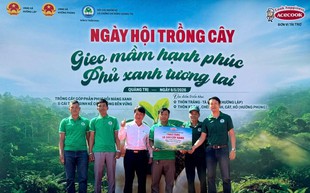 Acecook Việt Nam khởi động dự án trồng 10.500 cây xanh tại tỉnh Quảng Trị