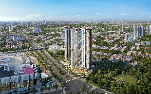 Vì sao nhà đầu tư Hà Nội tái cơ cấu danh mục để lựa chọn Ambience? 
