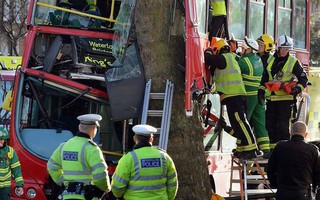Xe buýt đâm cây cổ thụ, 31 người nhập viện