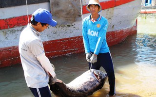 Lộc biển đầu năm