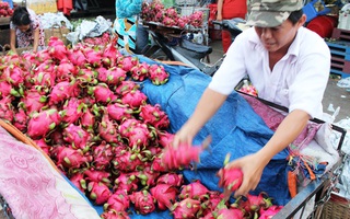 Trái cây dội chợ, rớt giá hàng loạt