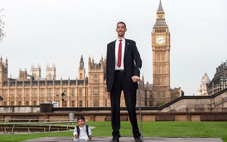 "Chân dài" nhất gặp người lùn nhất thế giới