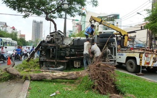 Xe ben leo dải phân cách “bứng” gốc cây xanh