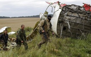 Vụ rơi máy bay MH17: Công bố báo cáo đầu tiên