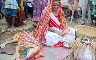 Ấn Độ: Thiếu nữ 18 tuổi kết hôn với… chó