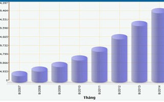 Mở cửa thị trường tên miền