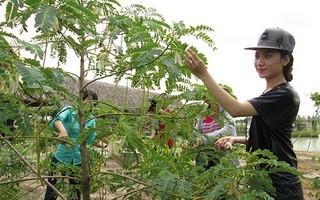 Kéo khách hàng đến nông trại