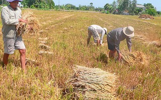 Nông dân không thể tự lo