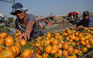 Sản phẩm nông nghiệp đối mặt nhiều rủi ro