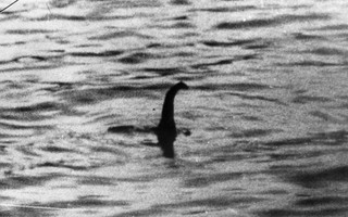 Dân mạng dậy sóng với hình ảnh nghi quái vật hồ Loch Ness