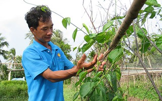 Bí thư xã đoàn cầm nhầm giải thưởng?