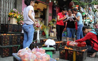 Ra tay cứu cà chua Lâm Đồng