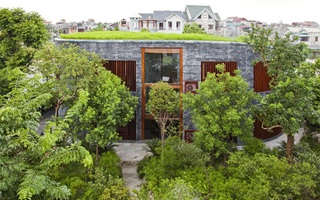 600.000 đồng/m2 để phủ cây xanh cho mái nhà