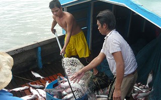 Mỹ tăng mức thuế chống bán phá giá cá tra