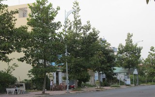 Nợ từ trên trời rơi xuống