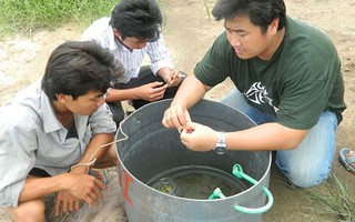 Làm đẹp cho đời