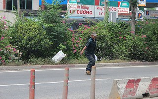 Thay dải phân cách dây thép và cây bông giấy trên Quốc lộ 1