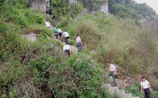 Chân Linh không phải Tiên Sư