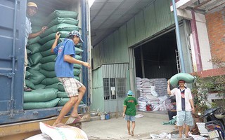 Xuất khẩu gạo bị Thái giành giật thị trường