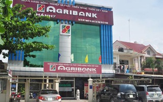 Cựu sếp Chi nhánh Agribank làm thiệt hại hơn 600 tỉ đồng