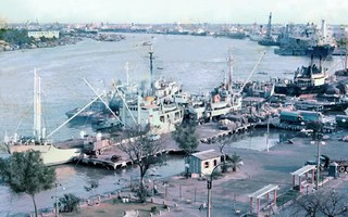 Cảng Sài Gòn phản hồi lời khai chấn động