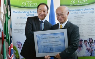 Việt Nam giành 3 giải thưởng của IAEA về đột biến tạo giống lúa