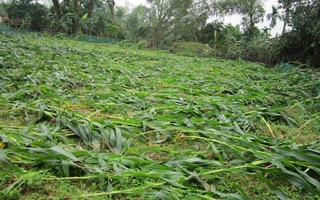 Lốc xoáy kinh hoàng ở Hà Tĩnh