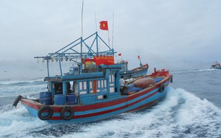 Yêu cầu Trung Quốc giải thích lý do bắt tàu cá Quảng Ngãi