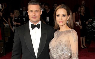 Brad Pitt “điên cuồng” làm việc