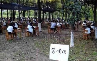 Trung Quốc: Sinh viên vào rừng làm bài thi