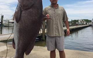 Bắt được cá mú khổng lồ 135 kg