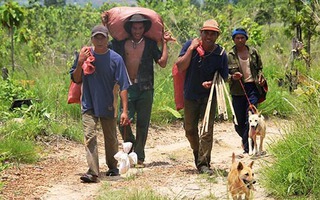 Thú rừng vào... quán nhậu