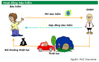 Người Việt lo lắng cho tài sản hơn tính mạng?