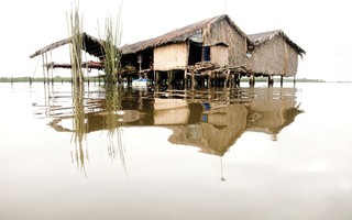 Một tiếng “nhà”