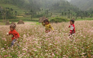 “Sốc” vì Việt Nam vào tốp 20 nơi đáng sống nhất thế giới!