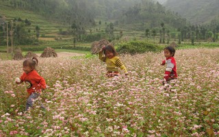 Việt Nam vào tốp 20 điểm đến đáng sống nhất thế giới