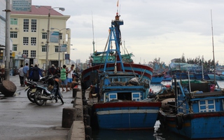 Bình Định còn gần 700 tàu, thuyền trong khu vực ảnh hưởng bão