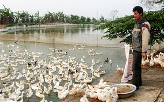 Công an xã đánh người cho... bõ ghét